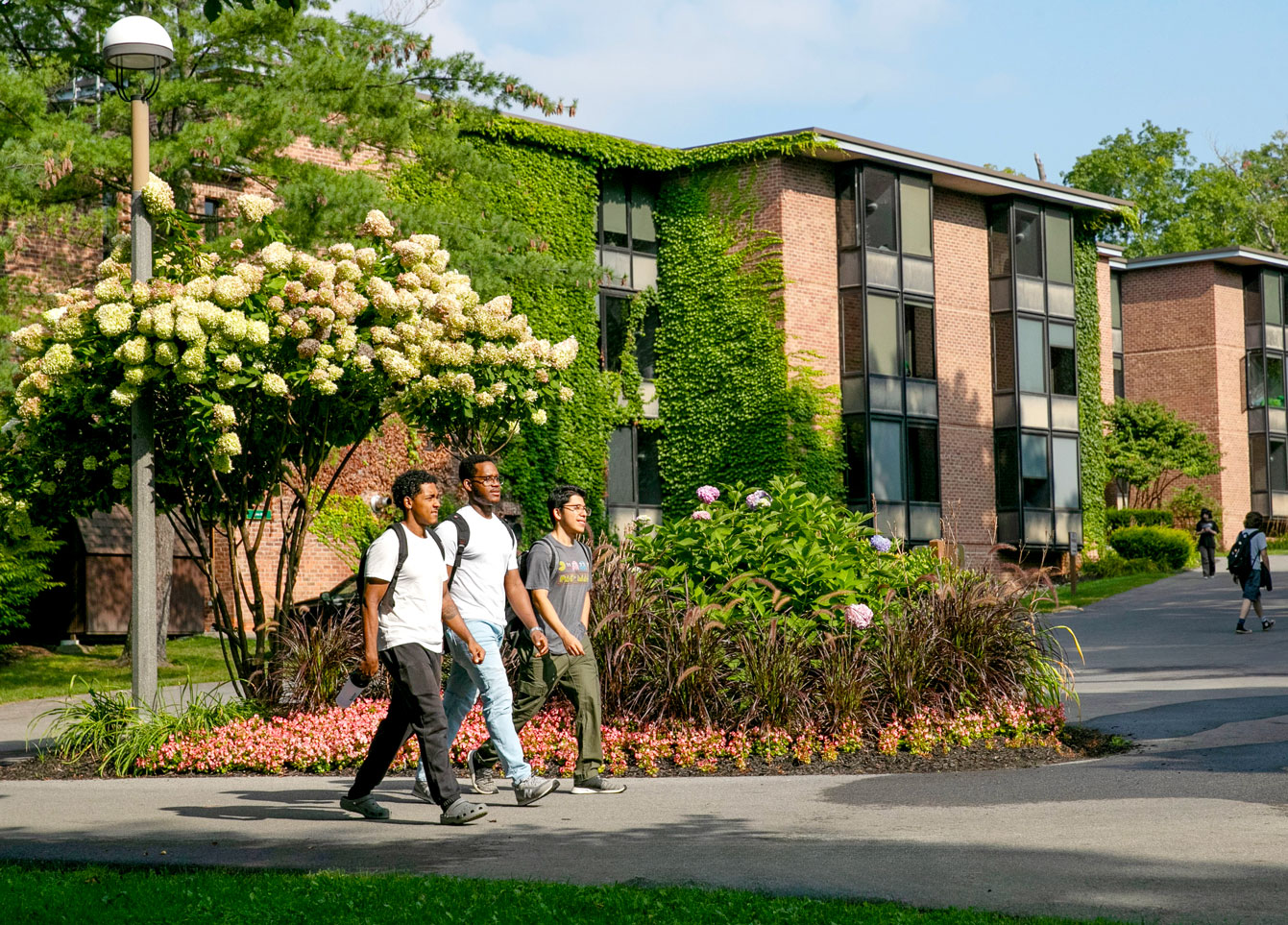 three male students walk on a college campus past flowers and a residential dorm