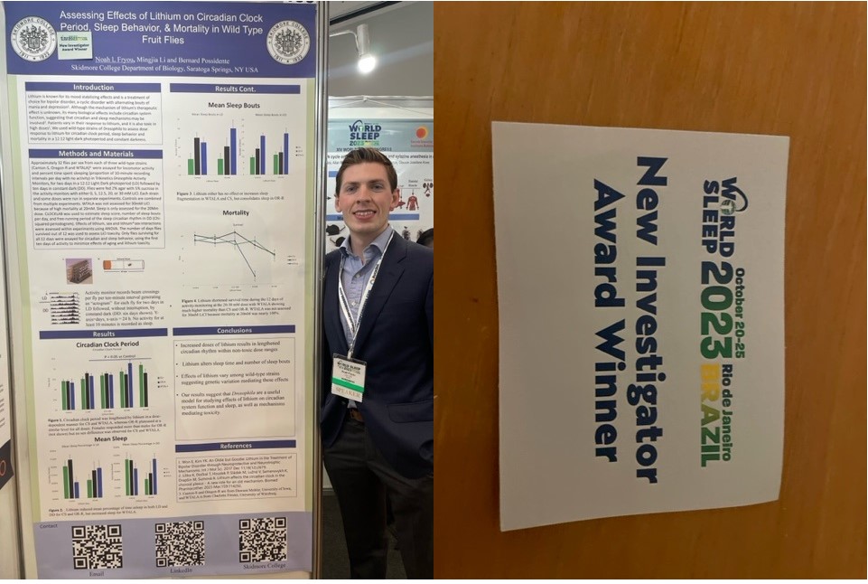 Noah Fryou New Investigator Award