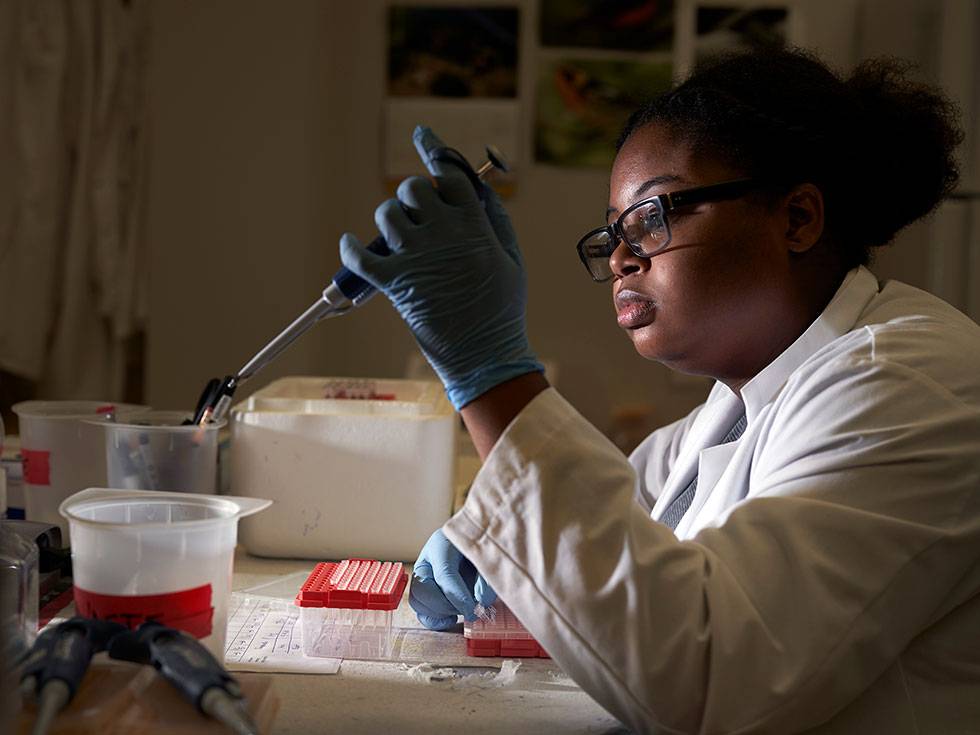 Student conducts research work in a lab coat in laboratory setting