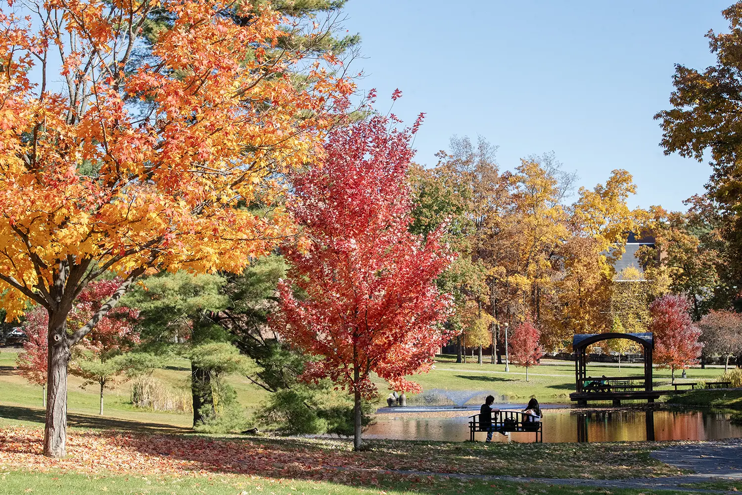 Two college students sit on a bench near a pond on a stunning fall day with bright red, yellow and orange trees surrounding them.