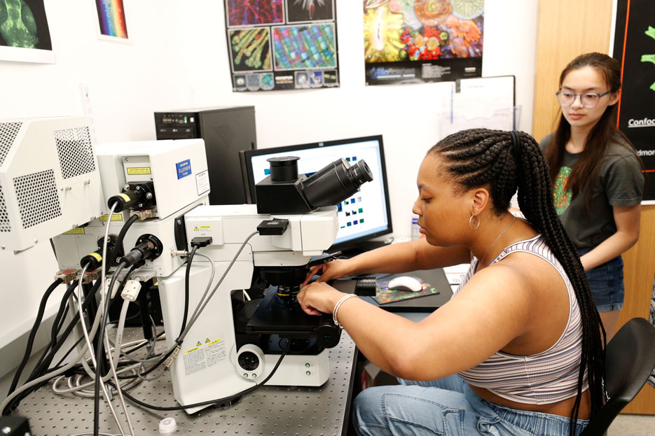 Students analyze data using SMMIC microscopes