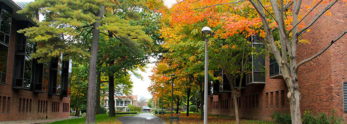 Skidmore in fall