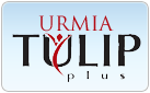 URMIA Tulip
