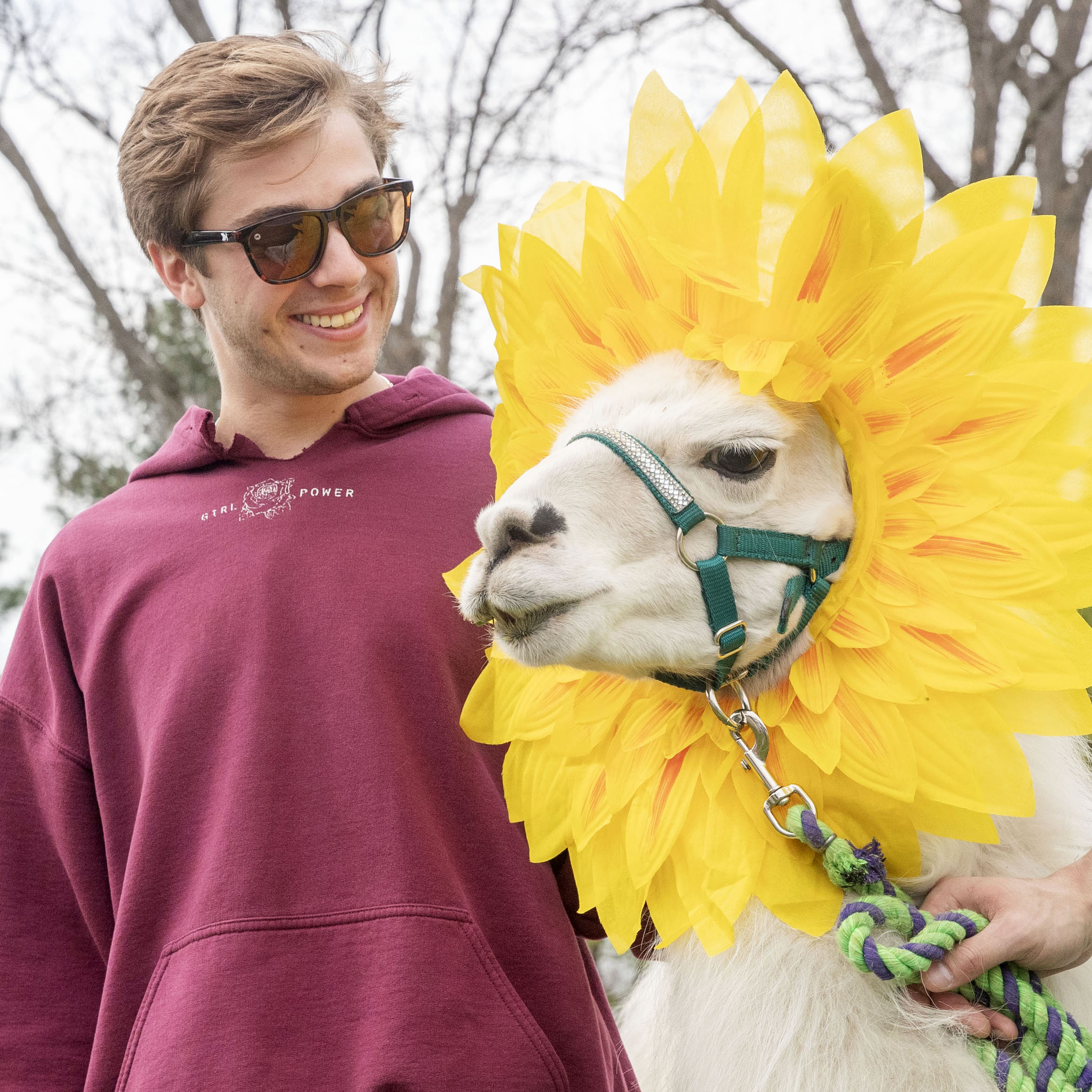 A student smiles at a llama dressed in a sunflower costume during a lighthearted campus wellness event.
