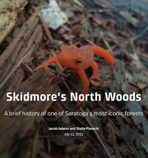A bright orange red eft is the backdrop for text reading Skidmore's North Woods, one of Saratoga's most iconic forests 