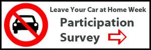 Participation survey Participation survey