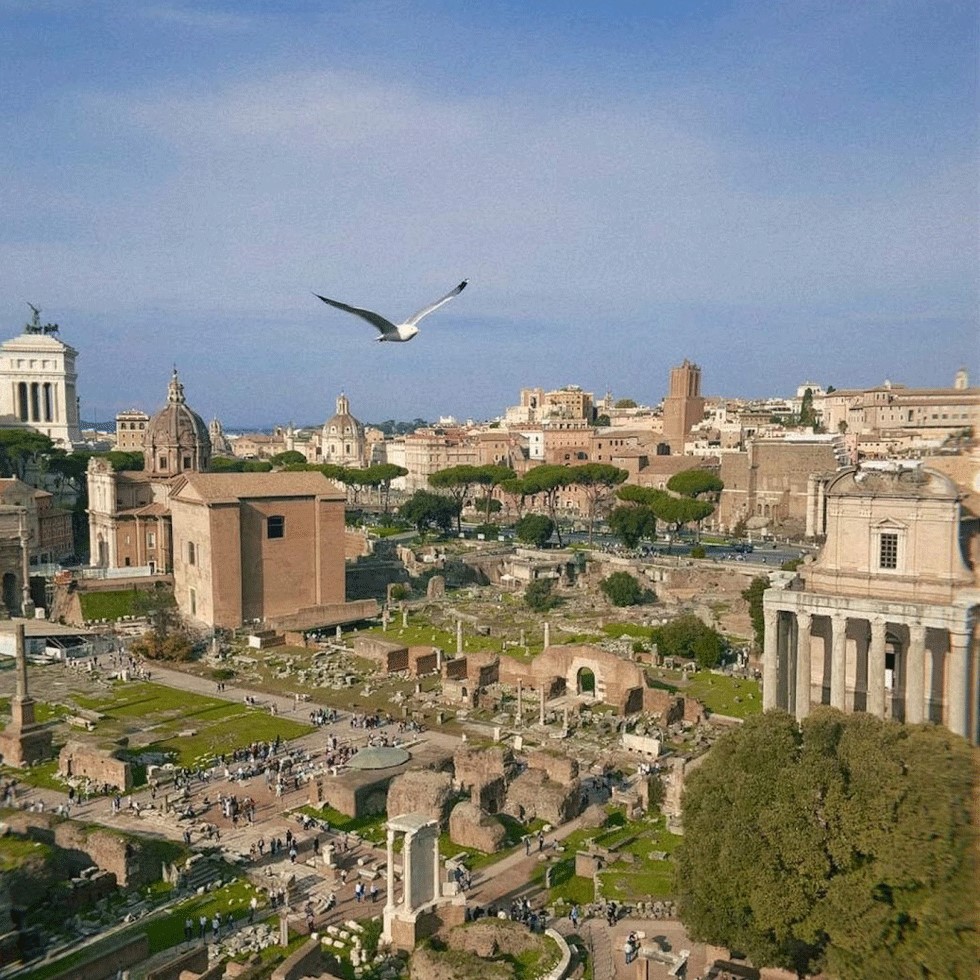 A seagull soars through a blue sky with Italian ruins among a city below.